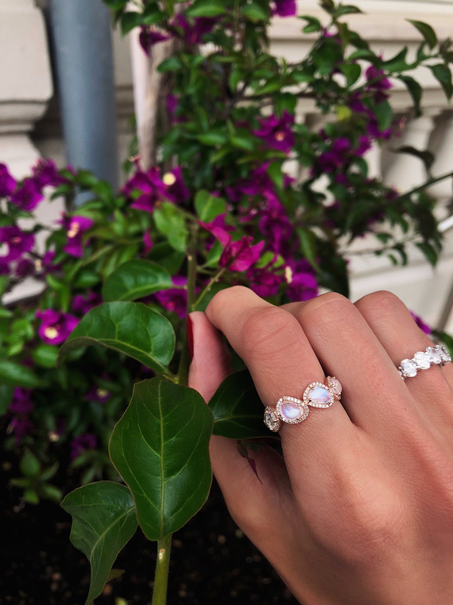 14kt gold and diamond mini organic moonstone band - Luna Skye