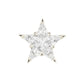 14kt gold full diamond star stud - Luna Skye